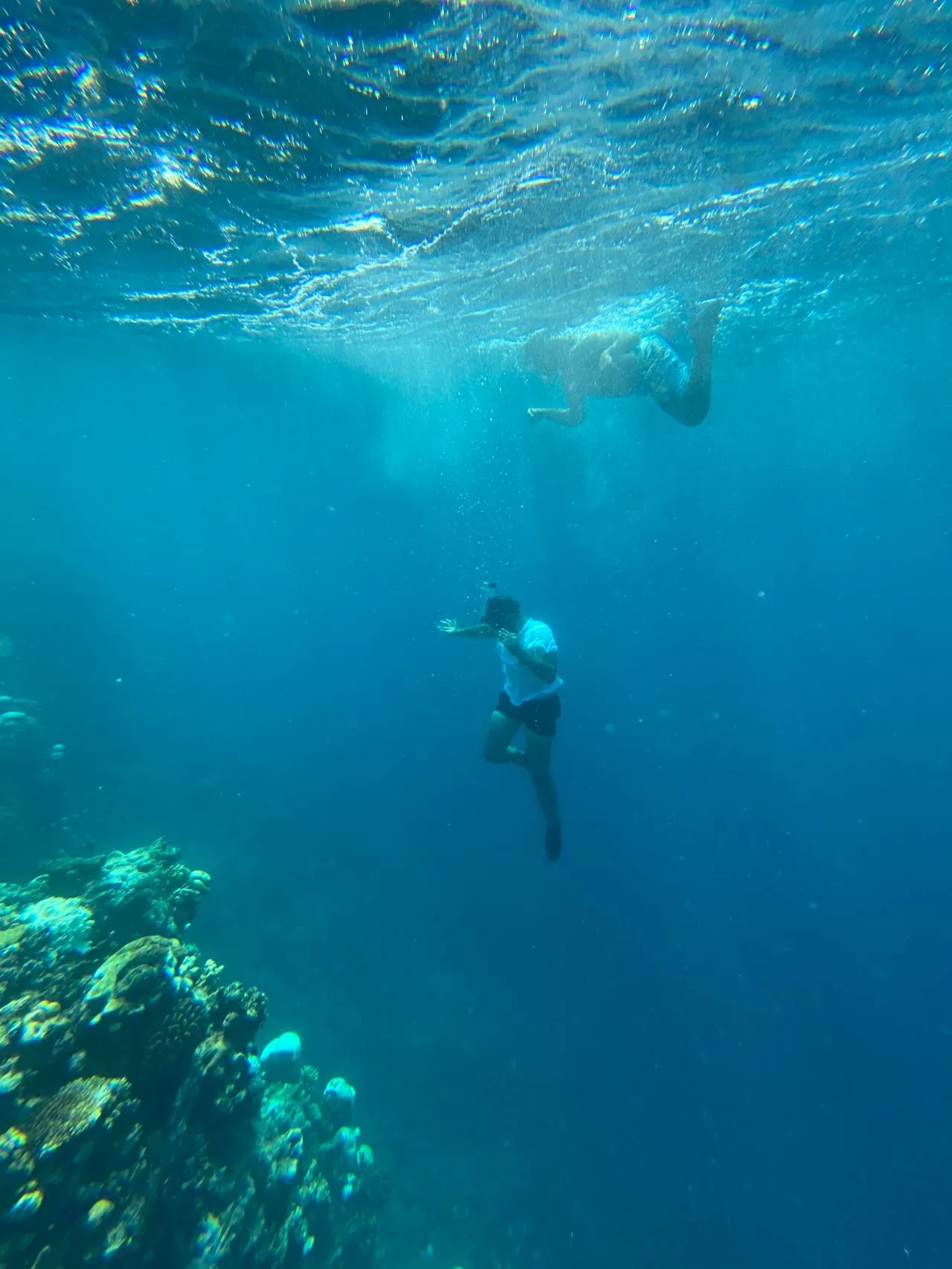 Shared Snorkeling Boat Trip