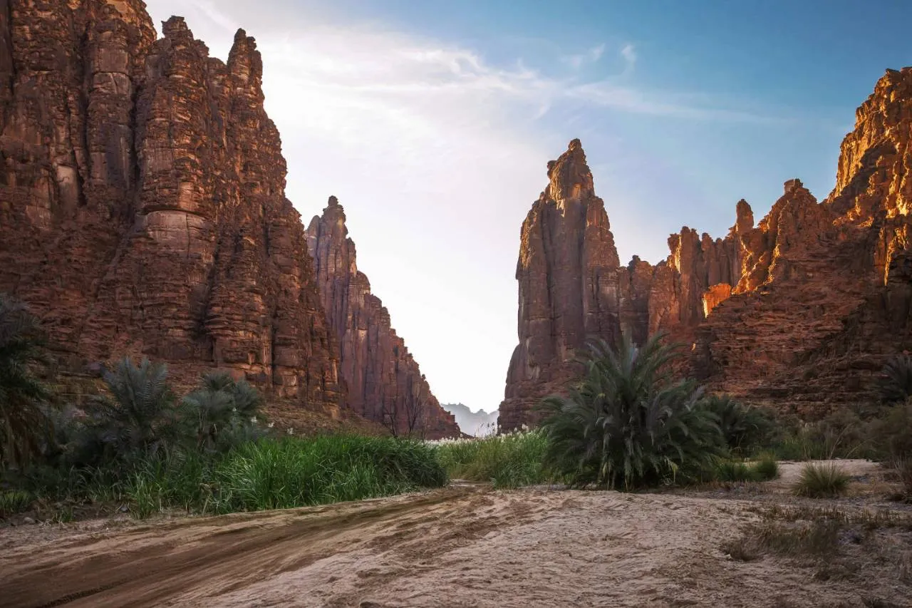 Wadi Dissah Day Tour from AlUla
