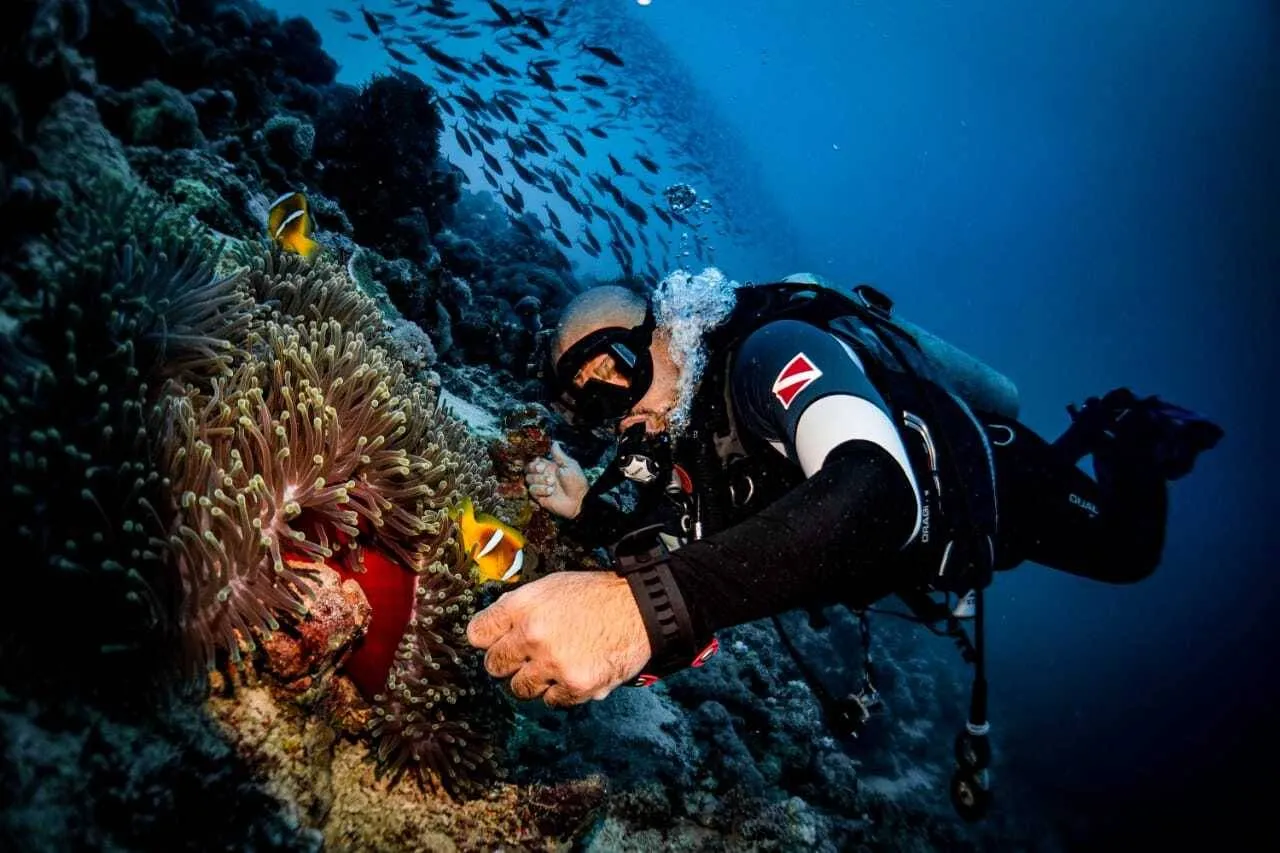 Shared Diving Boat Trip