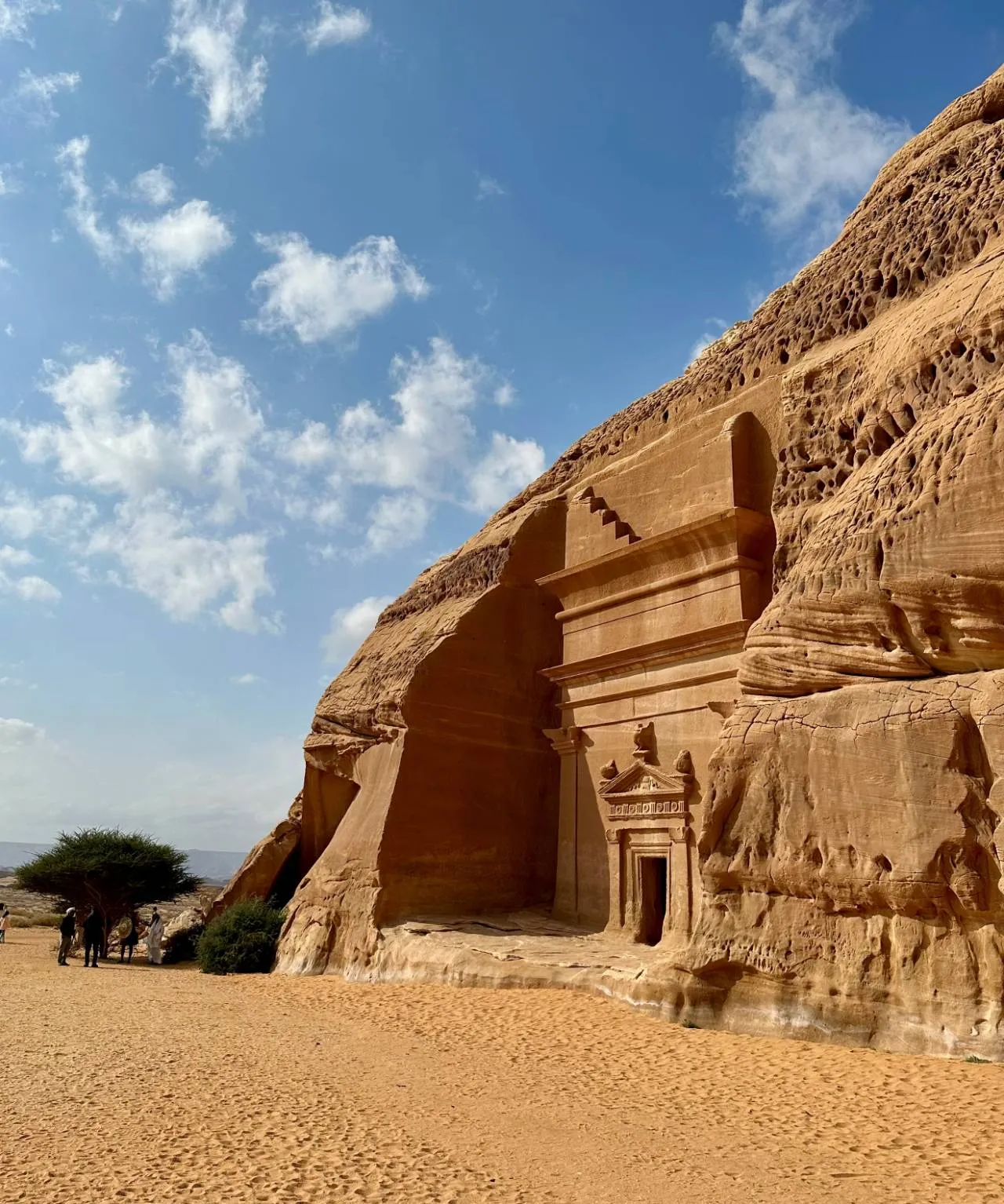 Explore Al-Ula - Private Day Trip from Medina